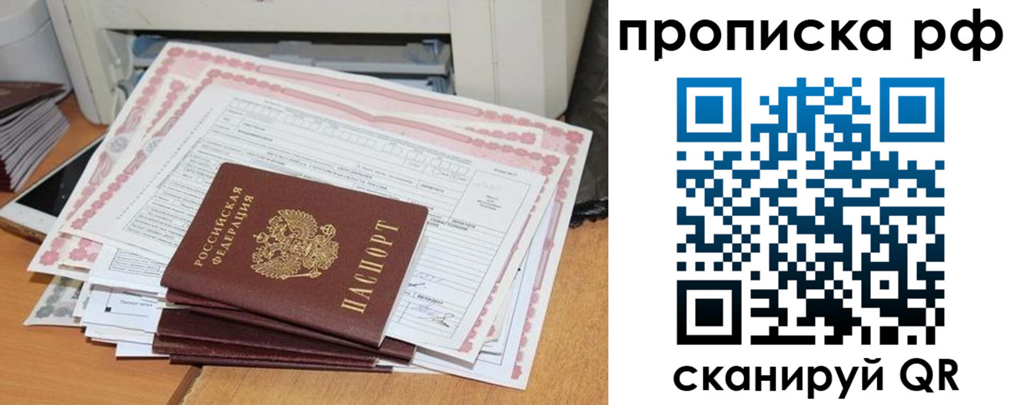 прописка гарантия в Волгограде